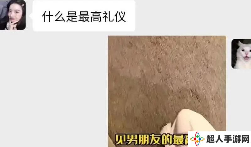 网络用语见男友的最高礼仪是什么梗