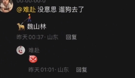 网络用语评论区遛狗是什么梗