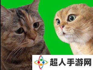 网络用语猫猫对话是什么梗