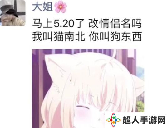 网络用语猫南北狗东西是什么梗