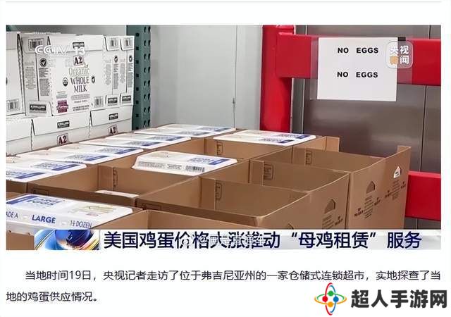 美蛋价飙升催热母鸡租赁，家庭养殖能否成解药？